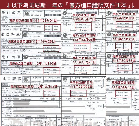 班尼斯每個月連續進口報關單