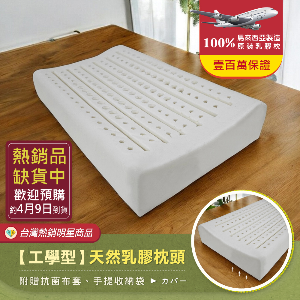 【工學型】天然乳膠枕頭