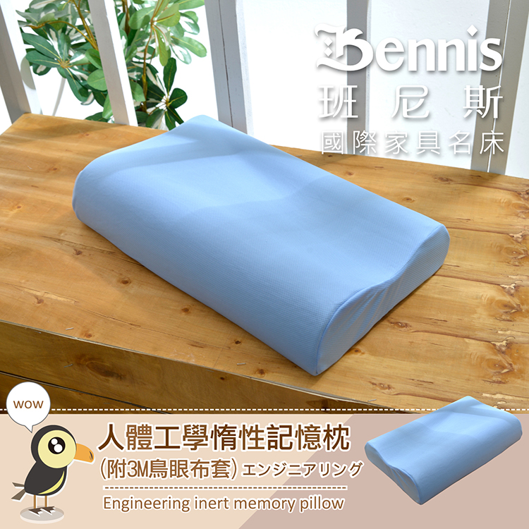 人體工學惰性記憶矽膠枕(附3M鳥眼布套)