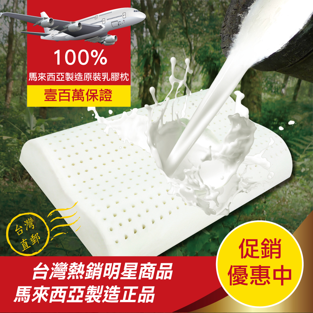 兩顆-【工學型】天然乳膠枕頭