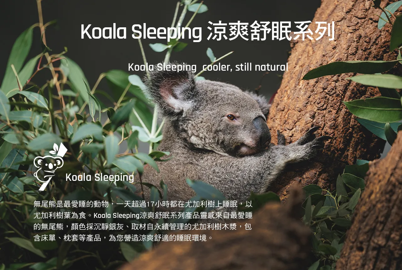 Koala Sleeping 涼爽舒眠系列。無尾熊是最愛睡的動物，一天超過17小時都在尤加利樹上睡眠，以尤加利樹葉為食。Koala Sleeping涼爽舒眠系列產品靈感來自最愛睡的無尾熊，顏色採沉靜銀灰、取材自永續管理的尤加利樹木漿原料，提供床單、枕套等產品，為您營造涼爽舒適的睡眠環境。